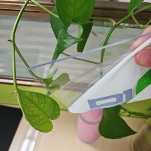 Plastic Polycarbonate Sheet Known for High Tensile Strength and Durability