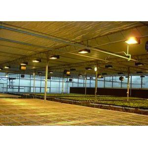 Tomato Cucumber Lettuce Growing System Gross Weight 2000.000kg Request