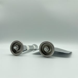 Advanced Bag on Valve for Personal Care - 300ml Specification