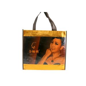 PP Non Woven Shopping Bag Large Capacity With Excellent Water Resistance