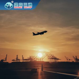 China Dropshipping Shipping From China To Europe Ecommerce Services DDU on sale