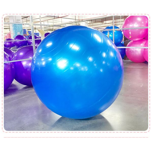Gravity Heavy Duty Exercise Ball 75cm