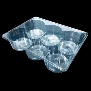 China Custom PET Plastic Blister Tray 6-Slot for Gear Storage on sale