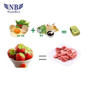 Chemical Lab Freeze Dryer Cold Trap Temperature -55degree CE Certification