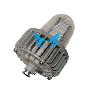 30W LED Security Flood Light