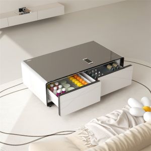 Smart Coffee Table and Small Refrigerator Combo for Modern Living Room Stainless