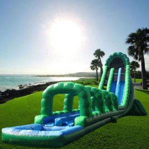 Shipping Way By Sea and Air Commercial Grade Inflatable Bouncy Castle Tropical