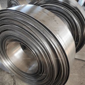 Customized Monel 400 Nickle Alloy Strip For Food Processing Industry