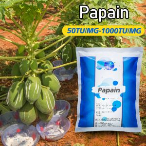 China White Original Papaya Enzyme Powder 50TU/MG-1000TU/MG Origin Of Papaya Cultivation on sale