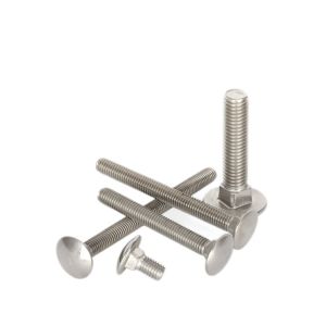 SS304 Stainless Steel M3 M4 M5 M6 M8 M10 Carriage Bolts with ISO9001 2015
