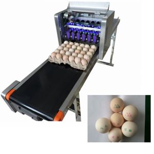High Speed Industrial Egg Jet Printer Machine , Batch Printing Machine