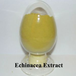 Echinacea Purpurea 1%, 2%, 4%( Chicory Acid) HPLC, polyphenol 4%