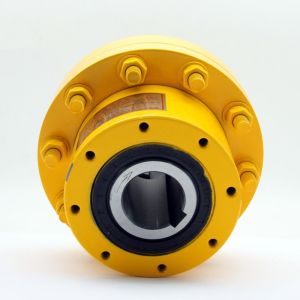 Conveyor Sealed One Way Clutch Bearings Sprag Freewheel