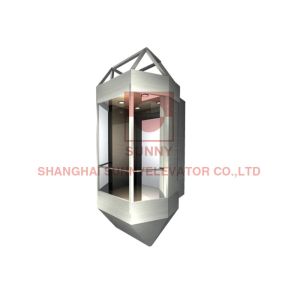 Microprocessor Control VVVF Sightseeing Panoramic Glass Elevator For Outdoors Or