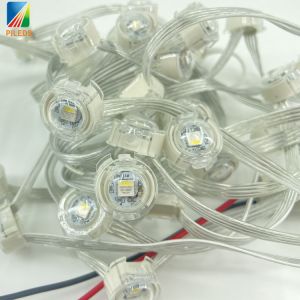 DMX RGBW 20MM LED Pixel Light String IP67 Landscape Lighting Christmas Holiday