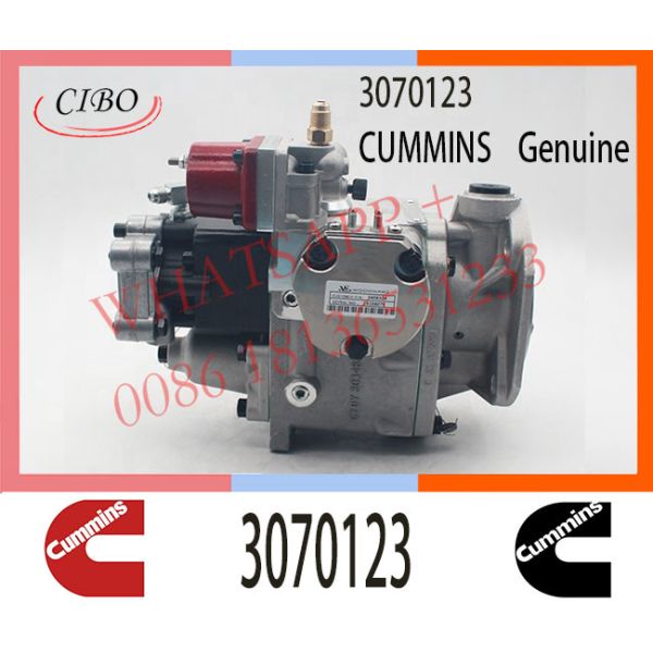 3070123 Hight quality Diesel Pump for Cum-mins NT855 N14 KTA19 Engine PT Fuel