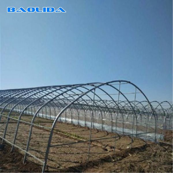 Quality Large Mental Material Single Span Tunnel Plastic Greenhouse Uv Resistant Clear Sheeting wholesale