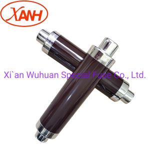 High Voltage Fuse DIN IEC Xrnt Sdljd-7.2/31.5 for Indoor AC 50Hz 7.2kv-24kv