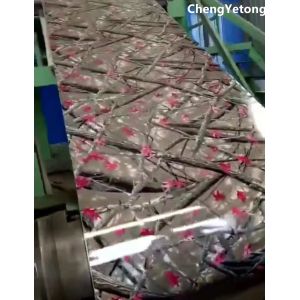 Cheap Home Appliance Pre Painted Steel Sheet Eco Friendly With Customized Pattern Printing for sale