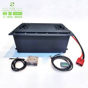 48v 72v 60ah 80ah Ion Lifepo4 Lithium Battery For Electric Golf Cart With BMS