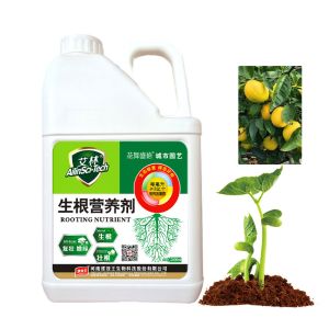 10% K2o Potassium Humate Fertilizer For Horticultural Plants Root Growth