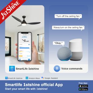 Remote Control/Wall Control Ceiling Fan Black Finish 3 Blades OEM Support Dimmer