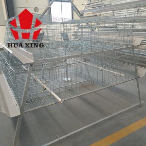 Cheap A Type 3 Tiers Growing Broilers In Cages , Silver Color Broiler Farm Equipment for sale