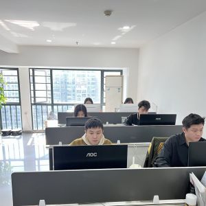 STM32F031K6U6 New And Original Integrated Circuit BGA STM32 Ic Chip 32F031K6U6