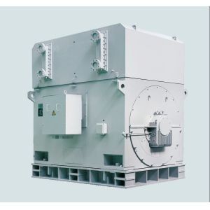 IE3 / IE2 High Voltage Induction Motor Water Pump Three Phase ISO9001