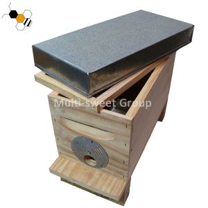 Cheap Bee Hive Equipment Queen Rearing Nuc Box Langstroth Beehive for sale
