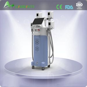 2015 multifunction lose weight 4 cryolipolysis heads 4 handls cryolipolysis