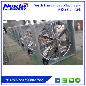 Quạt hút công nghiệp,tầm làm mát|Những lưu ý khi chăn nuôi gà mùa nóng|poultry farm exhaust fan