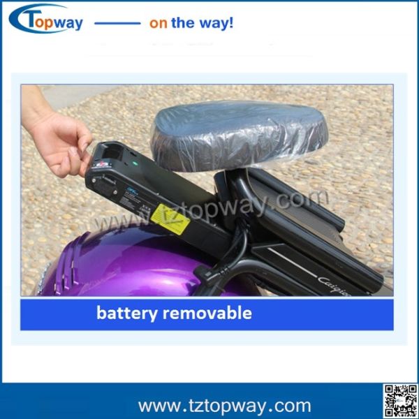 citycoco/seev/woqu 1000w with battery can be removed 18*9.5inch big tyre
