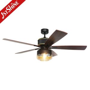 Traditional Design Style Ceiling Fan with Light and Remote Control/Wall Control