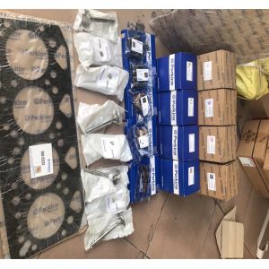 7N4837 Piston Set 7N-4837 Engine 1290338 Cylinder Liner 129-0338 Piston Ring