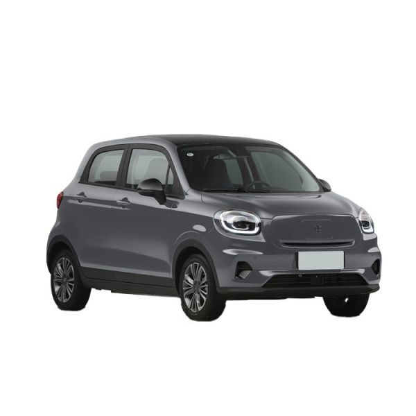 2023 Luxury Energy Electric Mini Car 4X2 2Wd Fwd Hatchback Smart Auto Electric