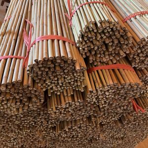 10cm Raw Bamboo Poles