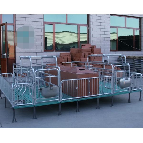 Quality Livestock Piglet Incubator Galvanized Steel Pipe Commonly Type Frame wholesale