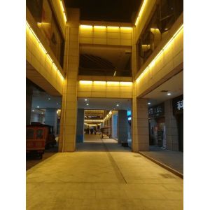 Outdoor 18w 24V IP65 DMX512 LED Wall Washer Light with Customizable Color