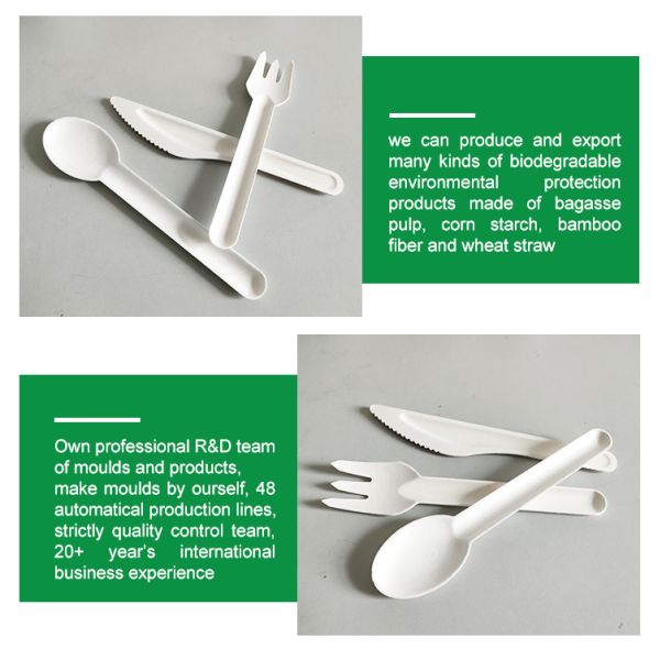 Recycled Degradable Compostable Cutlery Set Disposable Dessert Spoons 158 X 35 MM