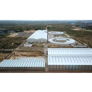 Intelligent Fully Automatic Tunnel Kiln With 100000 To 200000 Per Day Capacity