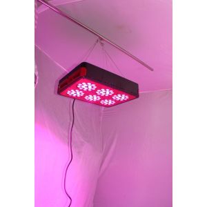 China greenhouse 3gp king led grow light 270w IP40 led grow light full spectrum on sale