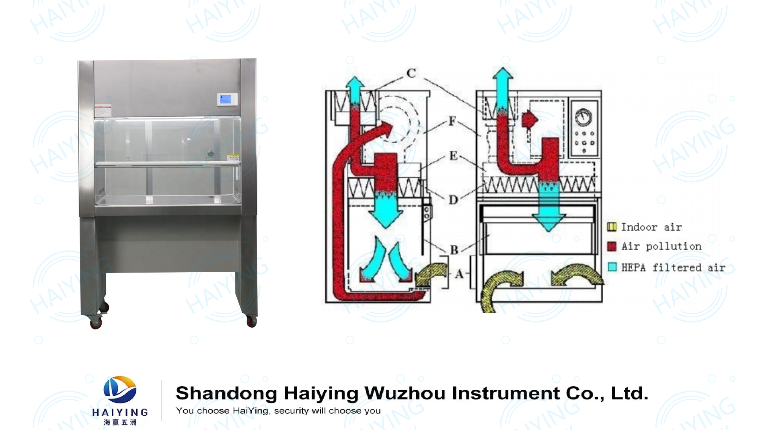 Biological Class II A2 Biosafety Cabinets Lab Equipment