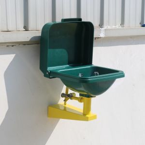 Anti-corrosion Wall-mounted ABS-cover ABS basin eye washer Auto open and close