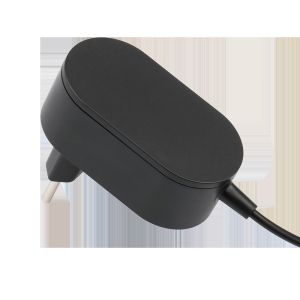 12W 12V 1A Power Supply Universal AC DC Power Adapter With ICBR EN60335-2-29