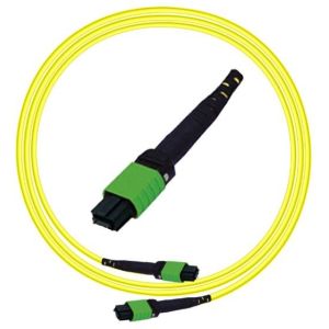 OM4 OM5 12 Fiber MTP MPO Patch Cord With LSZH PVC Sheath