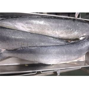 Coryphaena Hippurus 2KG Whole Round Pacific Frozen Mahi Mahi