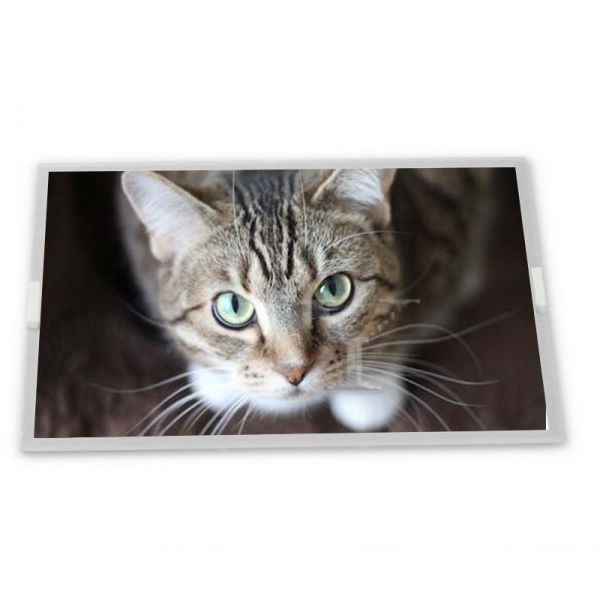 NL3224AC35-10 320*240 Resolution 5.5-Inch WLED LCD Display Module Custom ODM LCD