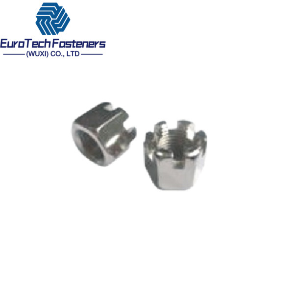 Hexagon Slotted Castle Nut Din 935/1 Din 935 Castle Nut M6 M10 M12 M16 M36x1 5