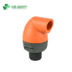 Manual Irrigation Air Vacuum Release Relief Valve for Farm NPT BSPT Normal